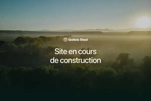 Gallois Sisal project